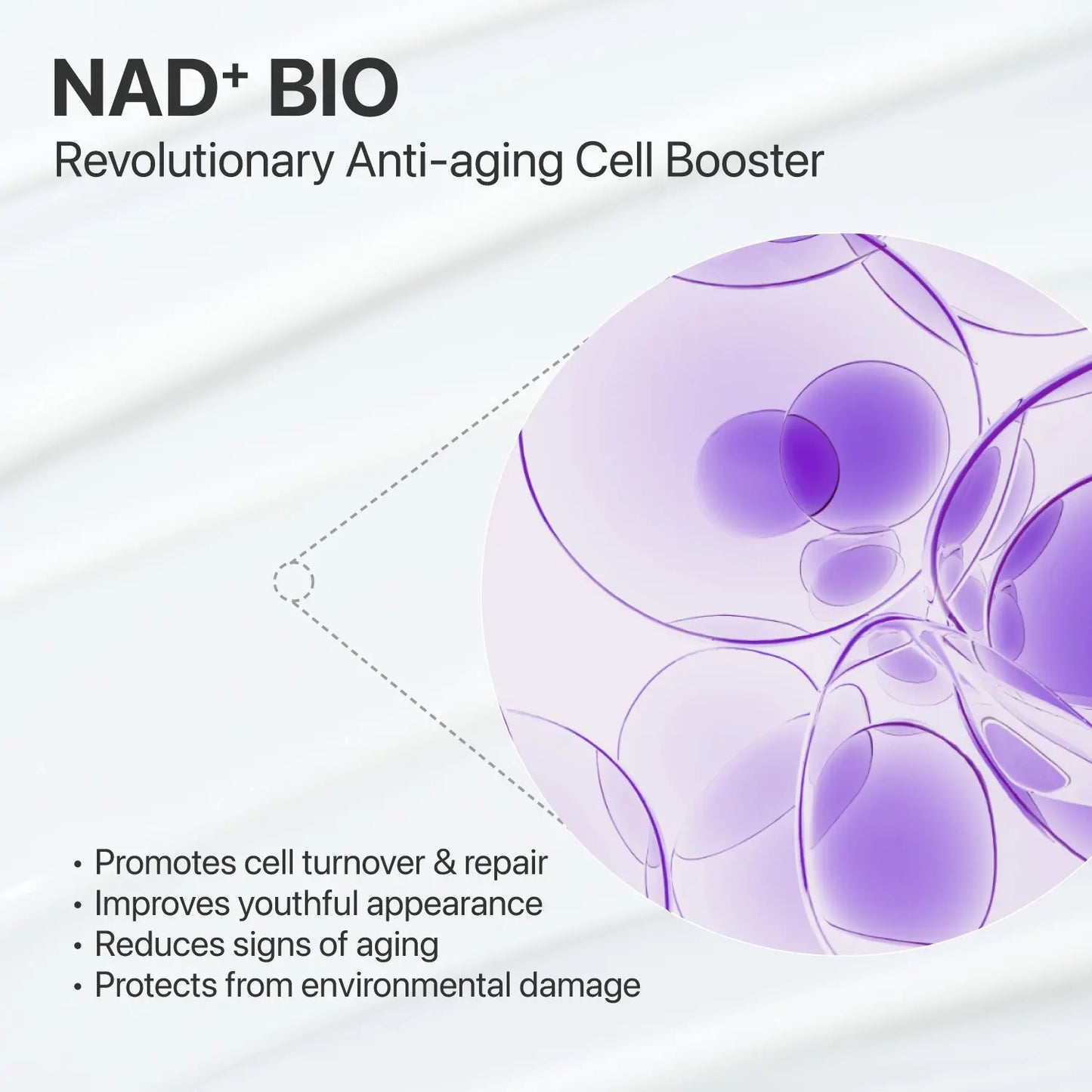 [Numbuzin Official Shop] No.9 NAD+ Peptide Essence | NAD+ BIO Lifting-Sil Essence | Lifting, Firming, Wrinkles, Fine Lines, Elasticity | Peptides, NAD+ | Serum for Aging, Dull Skin | 1.69 Fl. Oz.