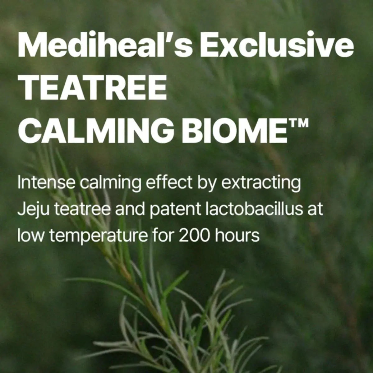 Mediheal Teatree Nude Gel Mask Skincare Sensitive