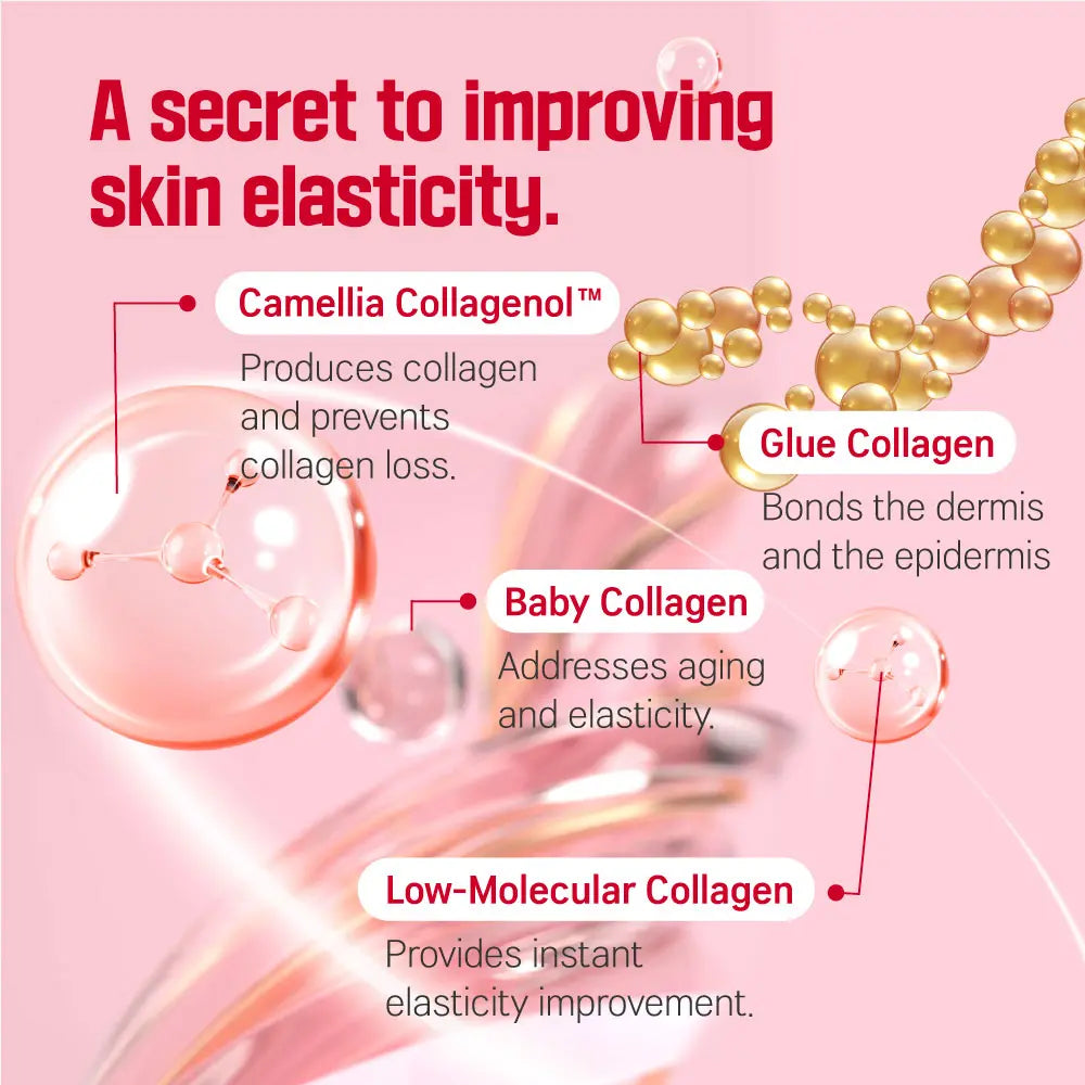 ROUND LAB Camellia Deep Collagen Firming Cream 50Ml Moisturizers Skincare Comfort Skin Repair