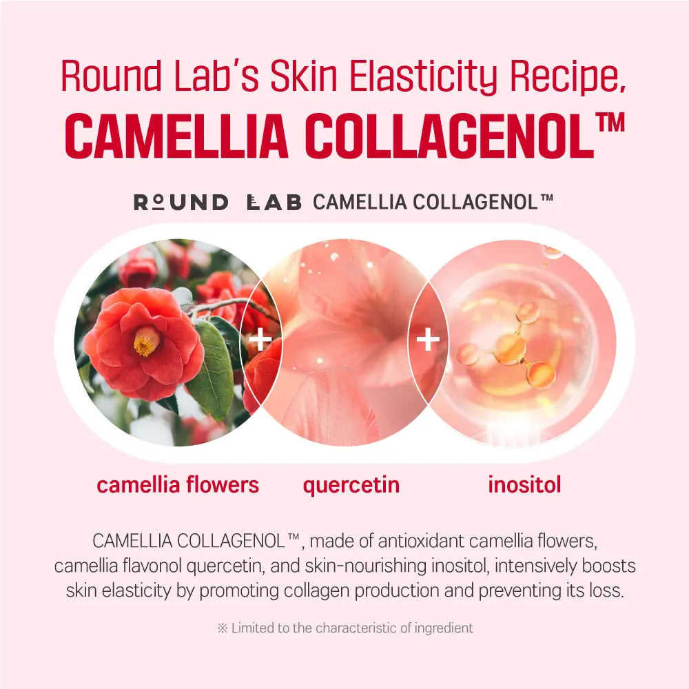 ROUND LAB Camellia Deep Collagen Firming Cream 50Ml Moisturizers Skincare Comfort Skin Repair